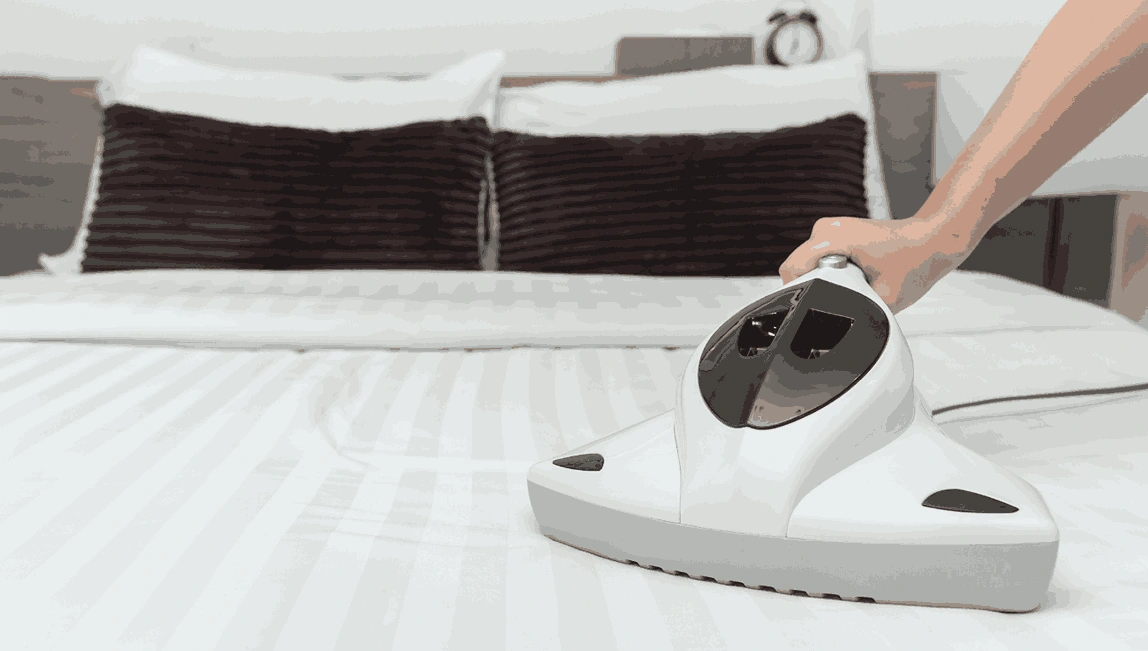 Professional Mattress Cleaning Bangholme